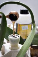 MARIA JULIA MARCHINI - MARIA MARCHINI