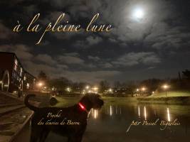 BIGNOLAIS PASCAL - STUDIO NOMADE