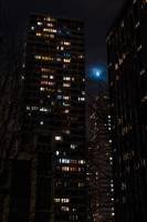 Hugues Willy KREBS - NEREIDES STUDIO